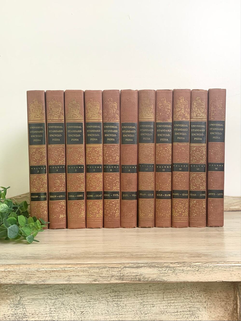 Vintage 1950s Universal Standard Encyclopedia Book Set Mid Century Library